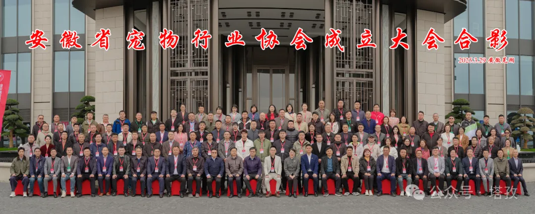 寵都平臺(tái)成為安徽省寵物行業(yè)協(xié)會(huì)理事單位，開啟寵物產(chǎn)業(yè)新征程